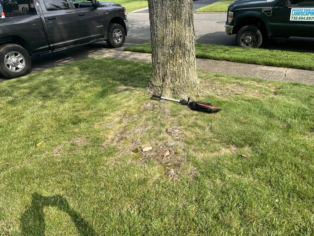 Trusted landscape design experts serving Cranford, NJ - Robert Thieling Landscaping