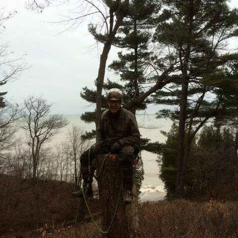 Trusted yard maintenance for outdoor upgrades in Wheeling, IL by Robert W Hendricksen Tree Care