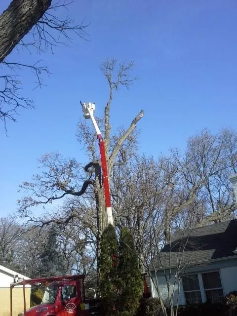 Professional landscape installation in Wheeling, IL by Robert W Hendricksen Tree Care