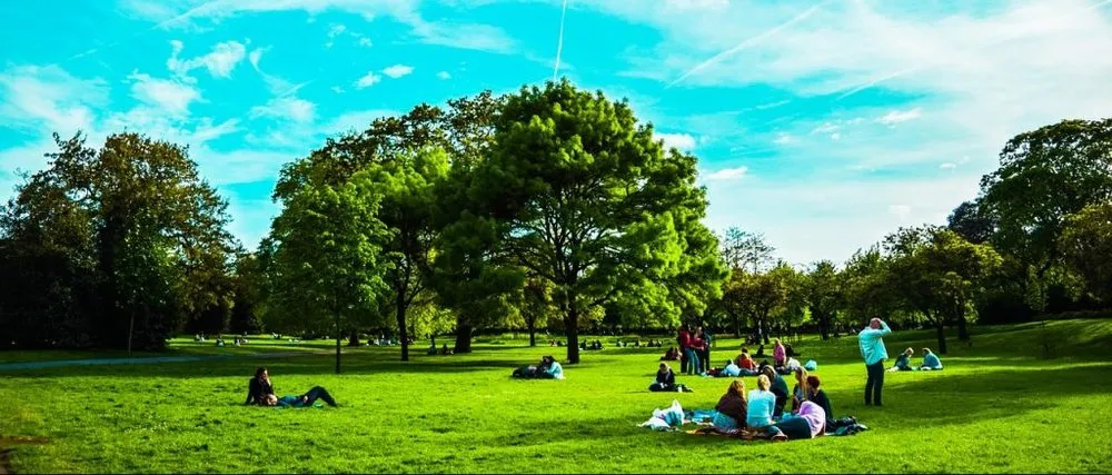 Professional lawn care service experts serving Wheeling, IL - Robert W Hendricksen Tree Care