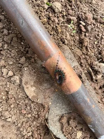 Expert outdoor landscaping in Simi Valley, CA - Robert Walker Sprinkler Repair & Landscaping