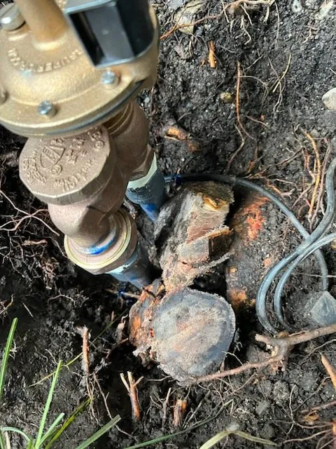 Local lawn care service in Simi Valley, CA by Robert Walker Sprinkler Repair & Landscaping