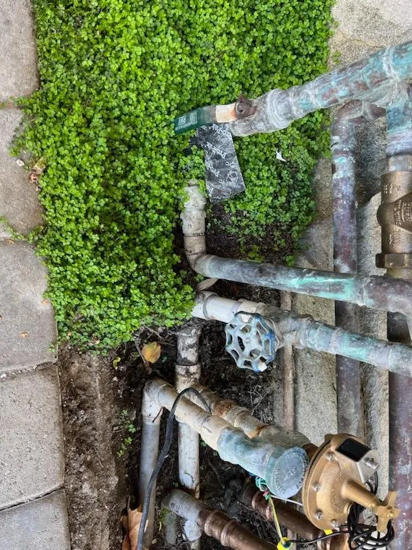 Custom garden landscaping in Simi Valley, CA by Robert Walker Sprinkler Repair & Landscaping