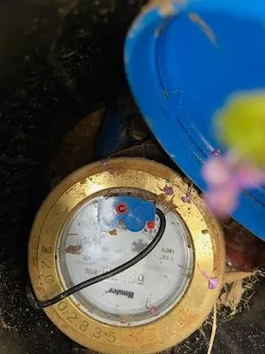 Robert Walker Sprinkler Repair & Landscaping Logo