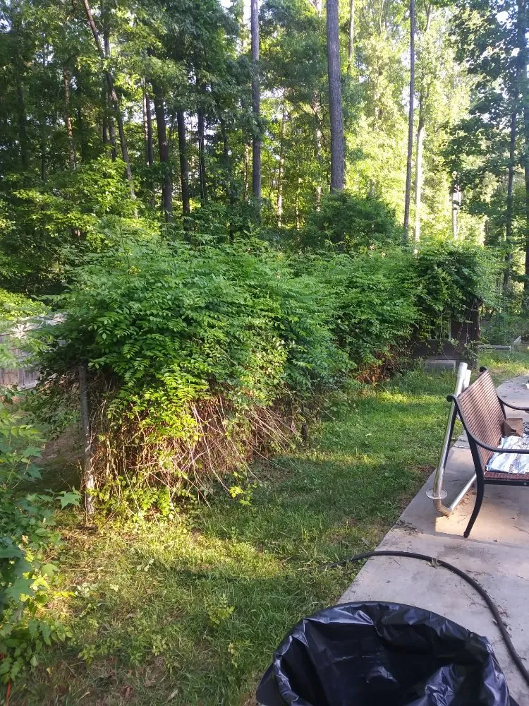 Affordable garden landscaping in Stockbridge, GA by Robert Yard Services