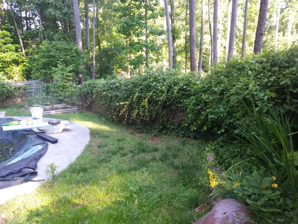 Trusted landscape installation for residential properties across Stockbridge, GA - Robert Yard Services