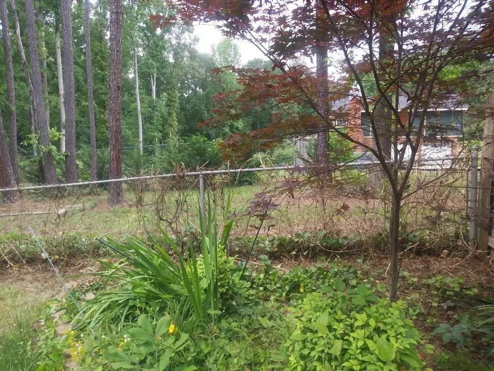 Top-rated landscape design experts serving Stockbridge, GA - Robert Yard Services