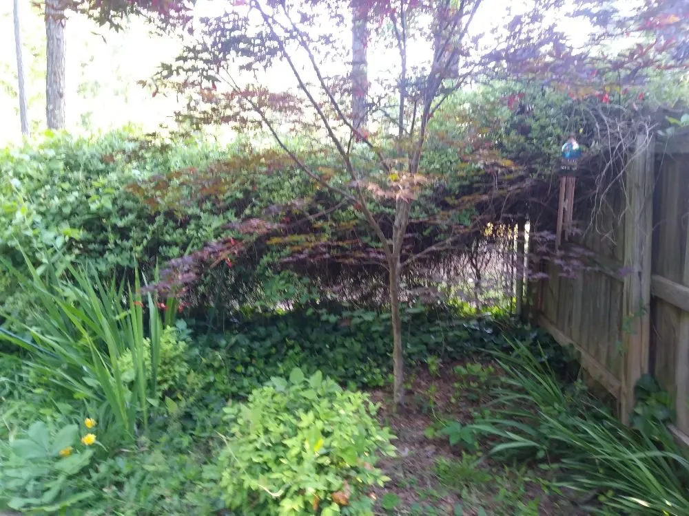 Reliable garden landscaping for outdoor upgrades in Stockbridge, GA by Robert Yard Services