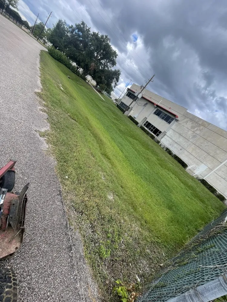 Top-rated yard cleanup service for outdoor upgrades in Houston, TX by Roberth Landscape