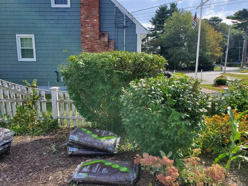 Trusted outdoor landscaping near you across Watertown, MA - Roberto Affordable Land & Tree Service