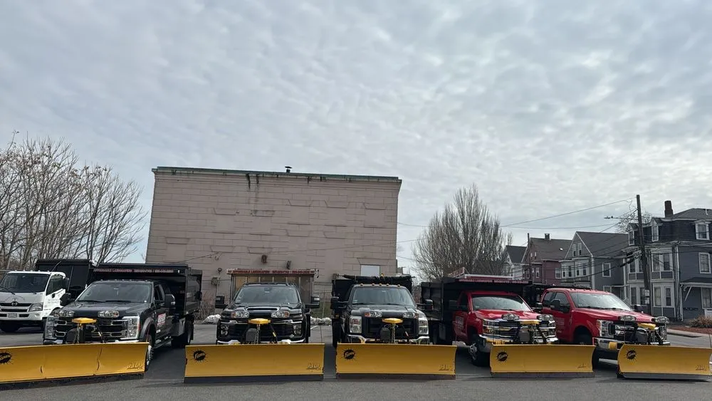 Local landscape installation for outdoor upgrades in Watertown, MA by Roberto Affordable Land & Tree Service