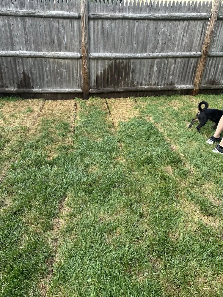 Trusted outdoor landscaping for residential properties across Watertown, MA - Roberto Affordable Land & Tree Service