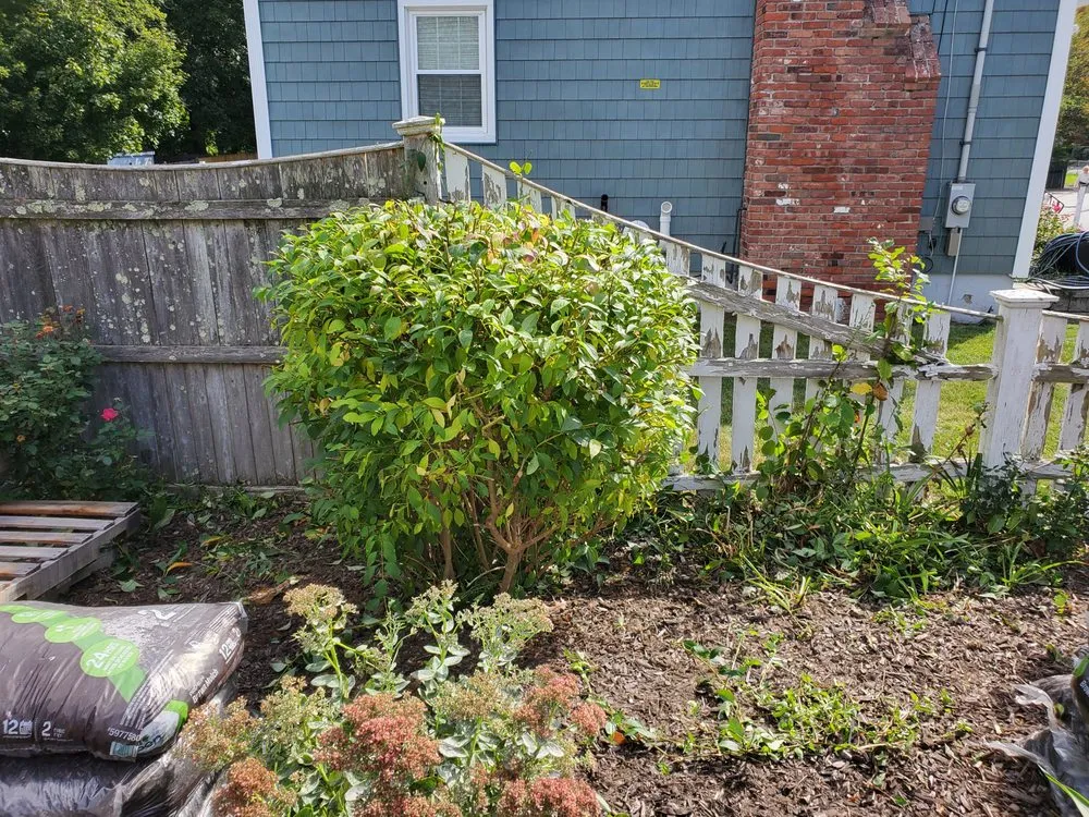 Custom landscape design for homes in Watertown, MA by Roberto Affordable Land & Tree Service