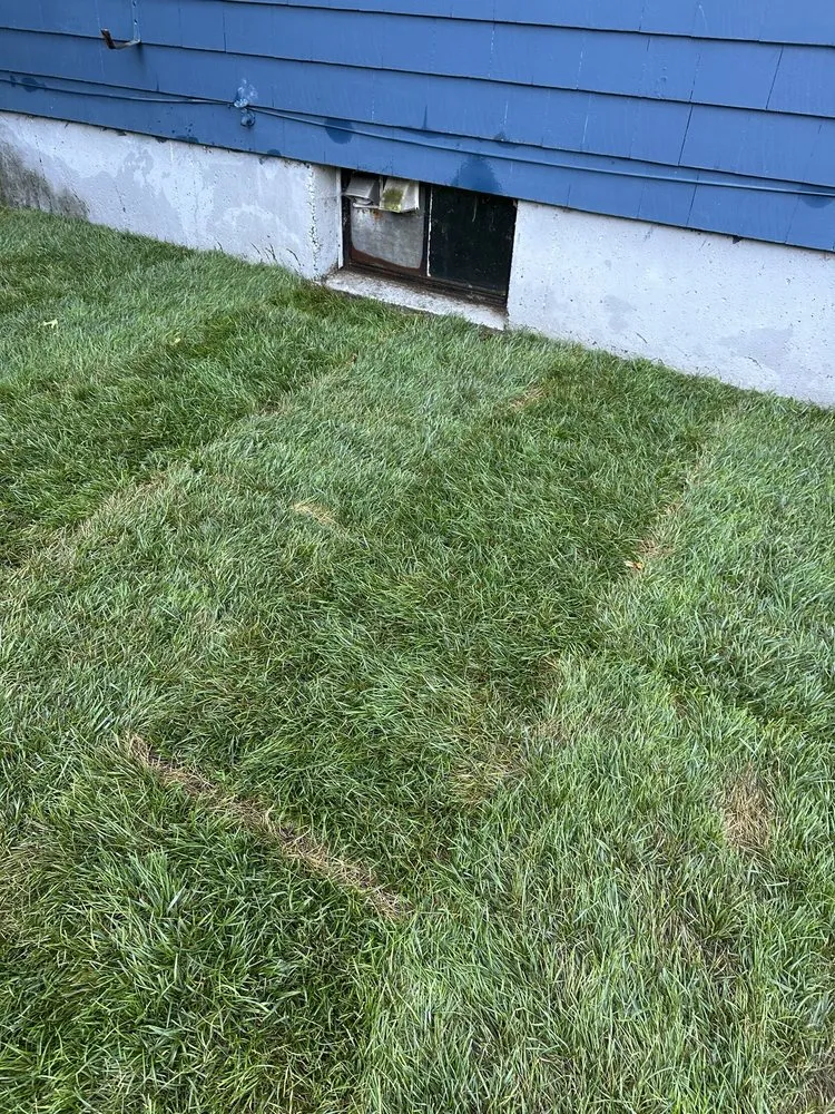 Expert landscape design experts serving Watertown, MA - Roberto Affordable Land & Tree Service