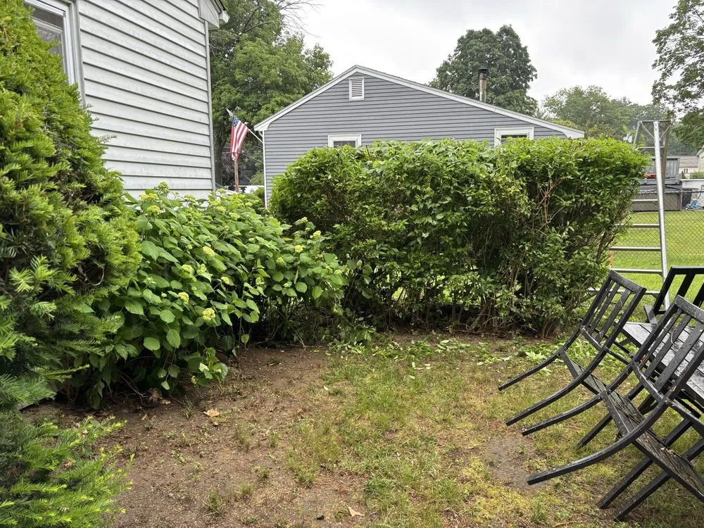 Top-rated landscape installation in Watertown, MA by Roberto Affordable Land & Tree Service