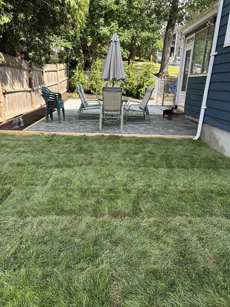 Expert yard cleanup service in Watertown, MA - Roberto Affordable Land & Tree Service