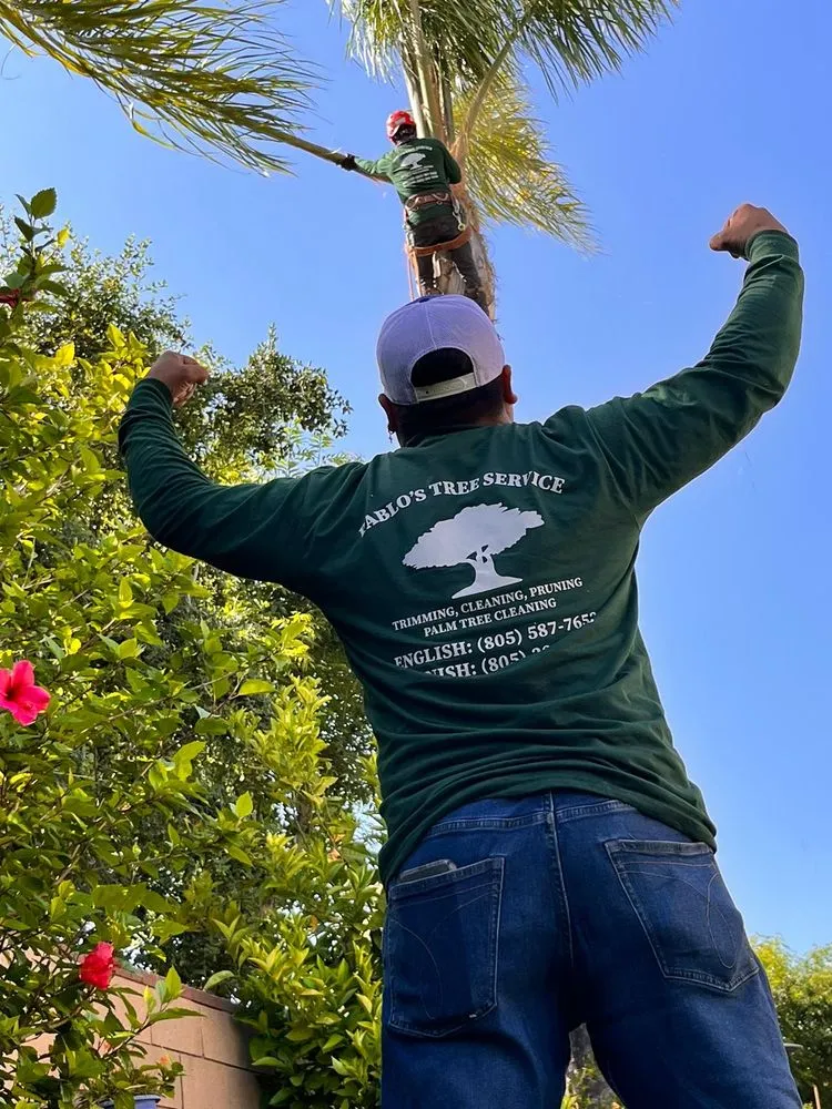 Affordable lawn mowing service in Humble, TX by Roberto Landscaper’s