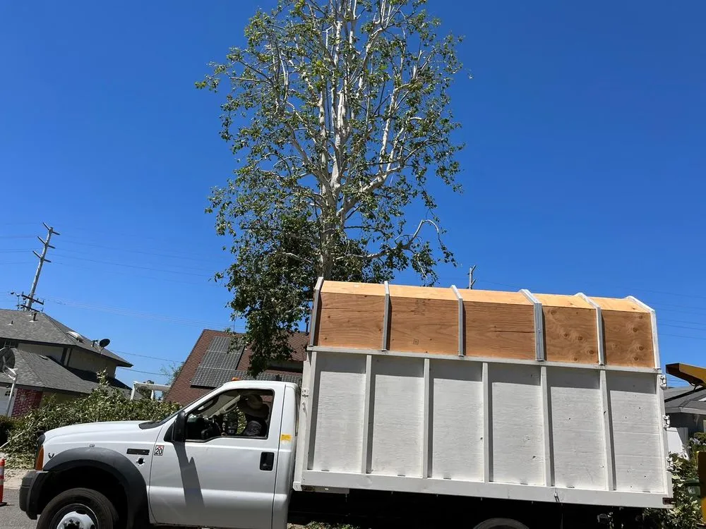 Professional residential landscaping experts serving Humble, TX - Roberto Landscaper’s