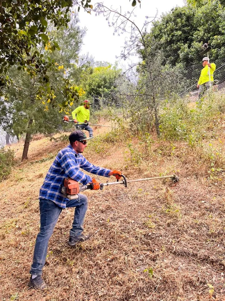 Expert garden landscaping for beautiful yards in Humble, TX by Roberto Landscaper’s