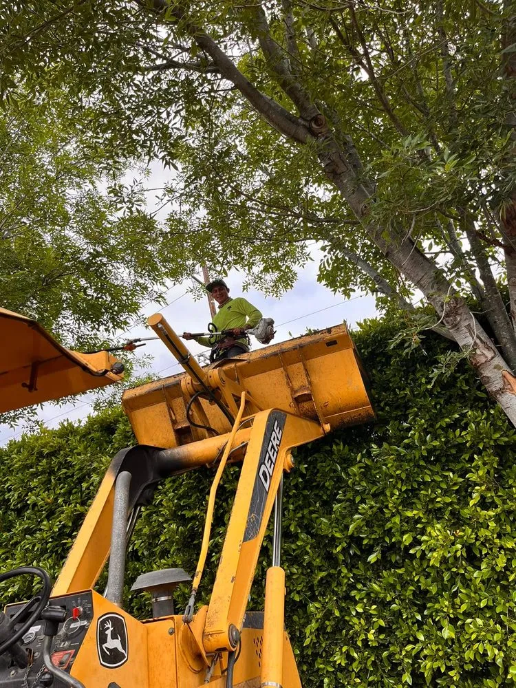 Affordable outdoor landscaping in Humble, TX - Roberto Landscaper’s