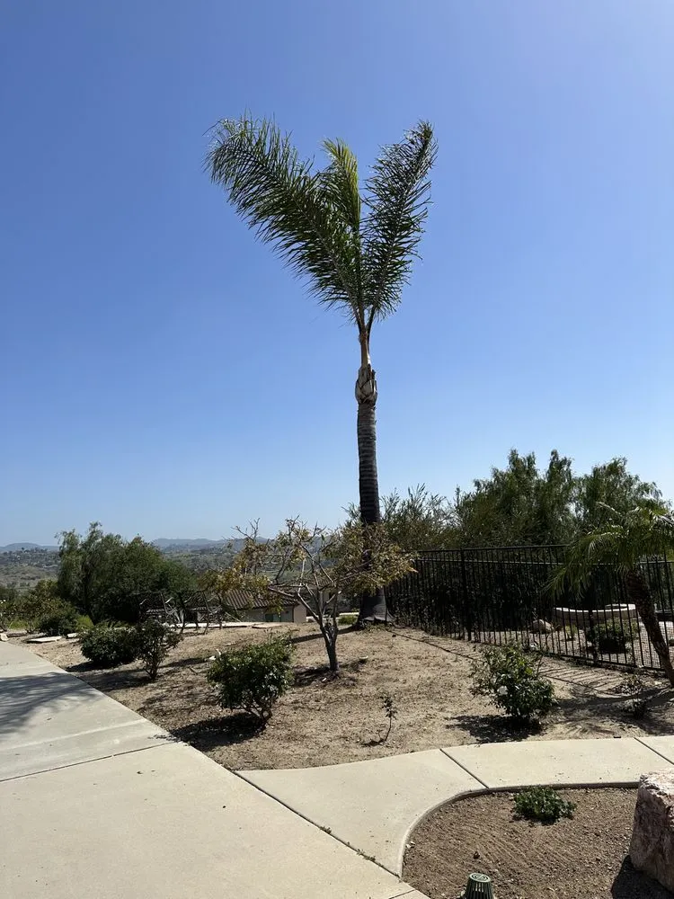 Reliable garden landscaping in Temecula, CA - Roberto Landscaping and Tree Service