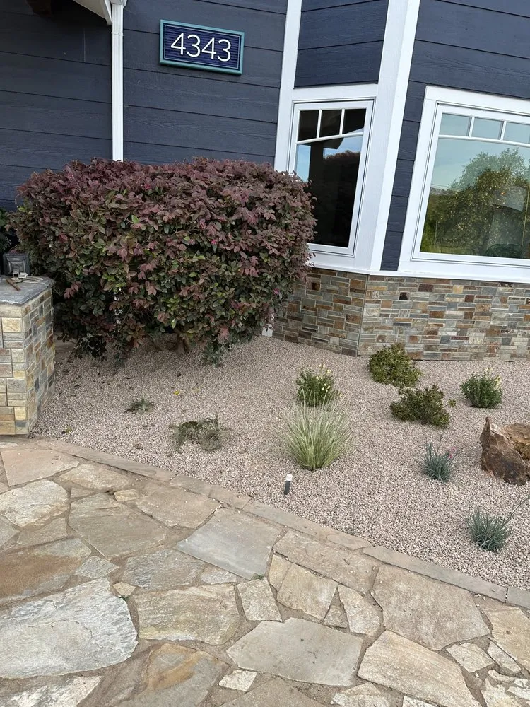 Trusted yard maintenance in Temecula, CA by Roberto Landscaping and Tree Service