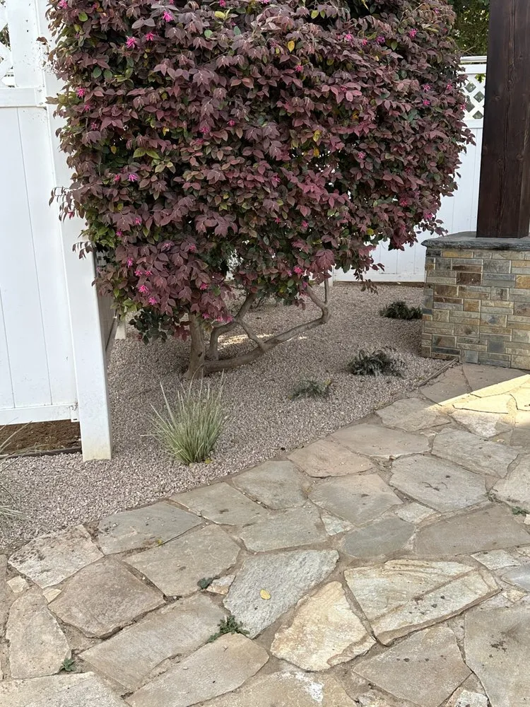 Local lawn care service in Temecula, CA - Roberto Landscaping and Tree Service