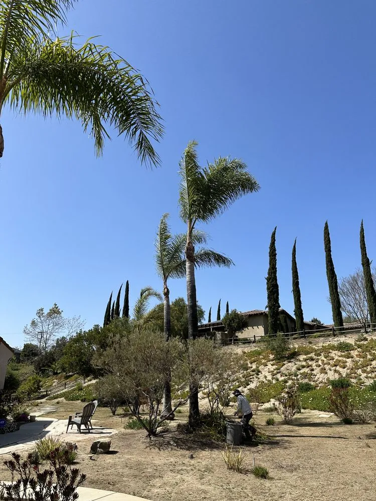 Expert lawn mowing service for year-round maintenance in Temecula, CA by Roberto Landscaping and Tree Service