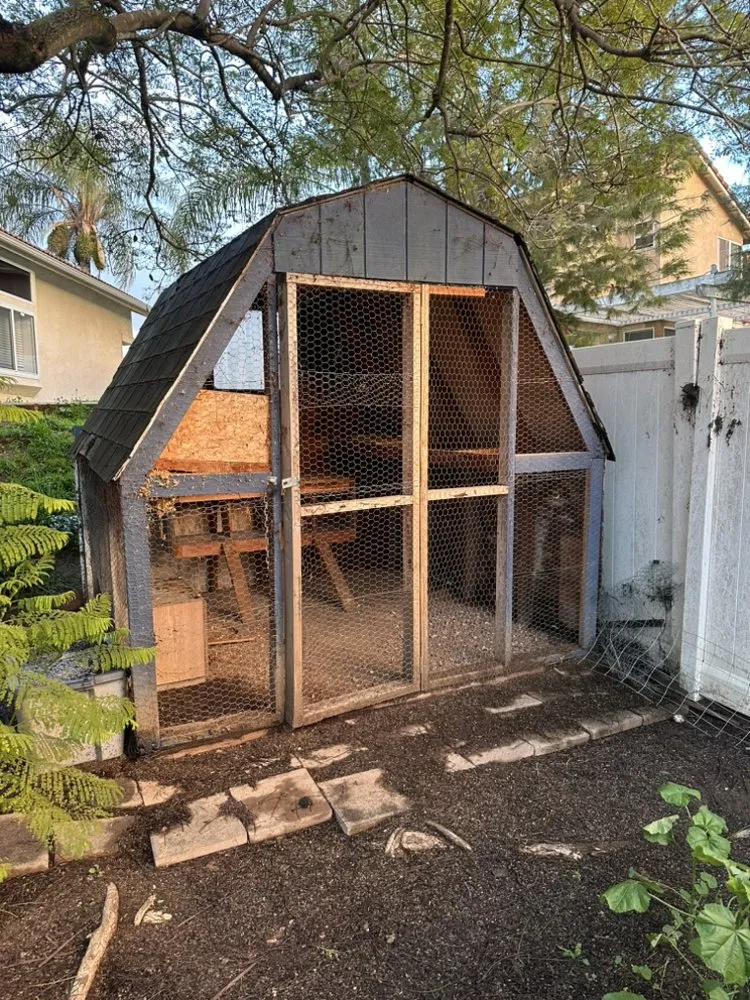 Professional yard maintenance in Temecula, CA by Roberto Landscaping and Tree Service