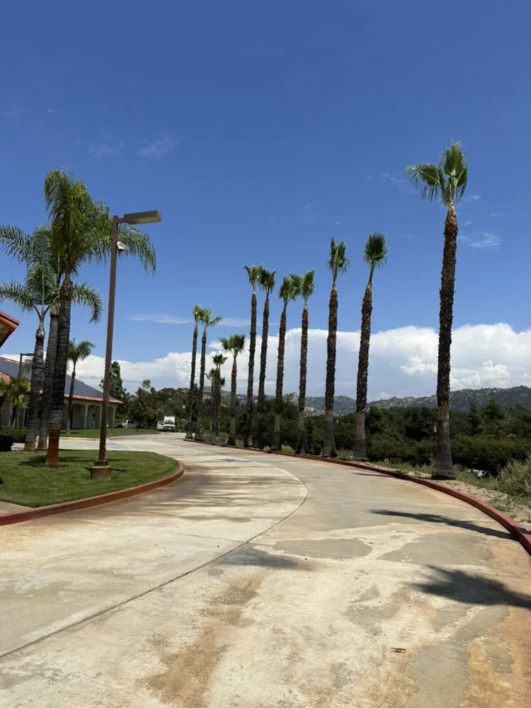 Expert lawn care service for year-round maintenance in Temecula, CA by Roberto Landscaping and Tree Service