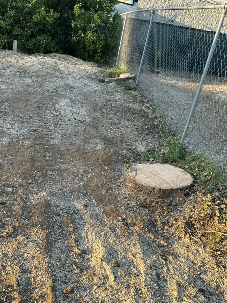 Custom yard maintenance for year-round maintenance across Temecula, CA - Roberto Landscaping and Tree Service