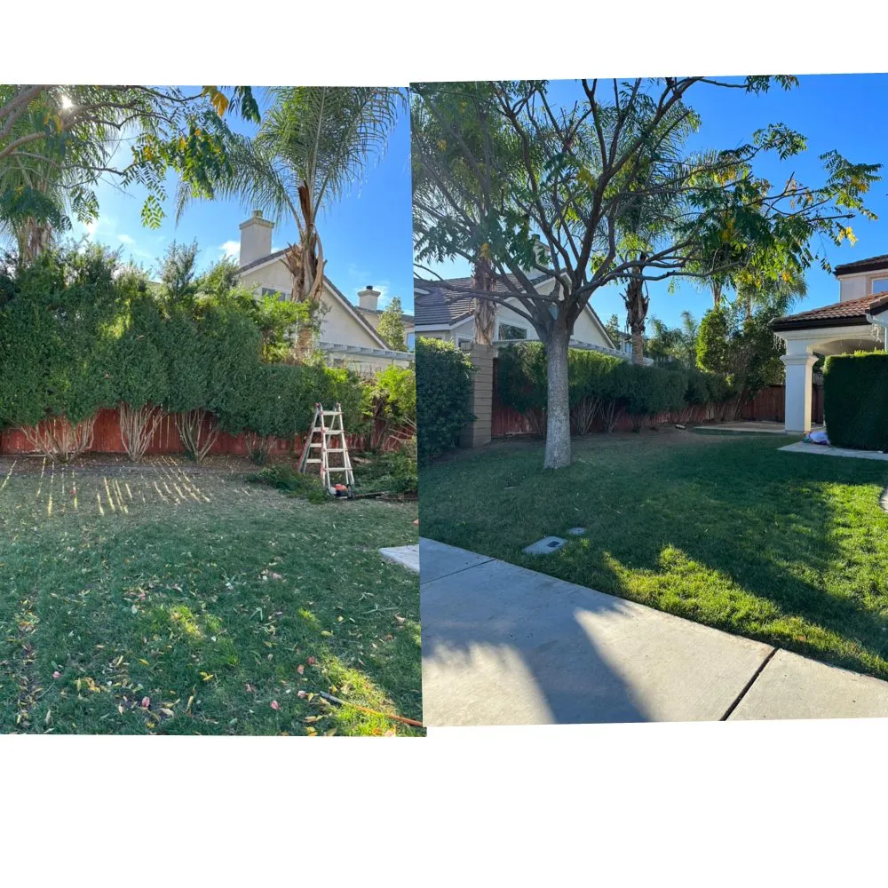 Custom garden landscaping for beautiful yards across Temecula, CA - Roberto Landscaping and Tree Service