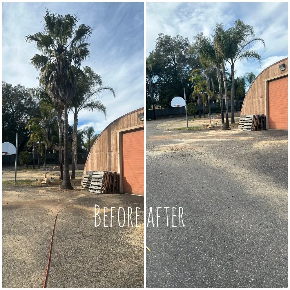 Professional landscape installation for homes across Temecula, CA - Roberto Landscaping and Tree Service