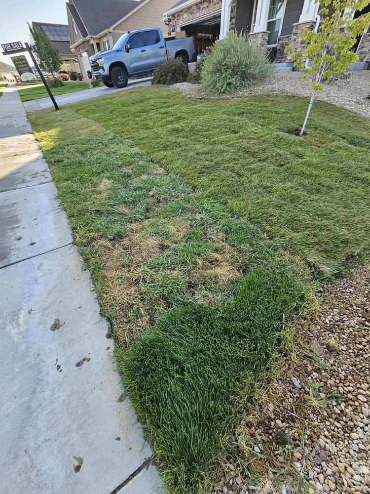 Professional outdoor landscaping experts serving Broomfield, CO - Roberto Landscaping