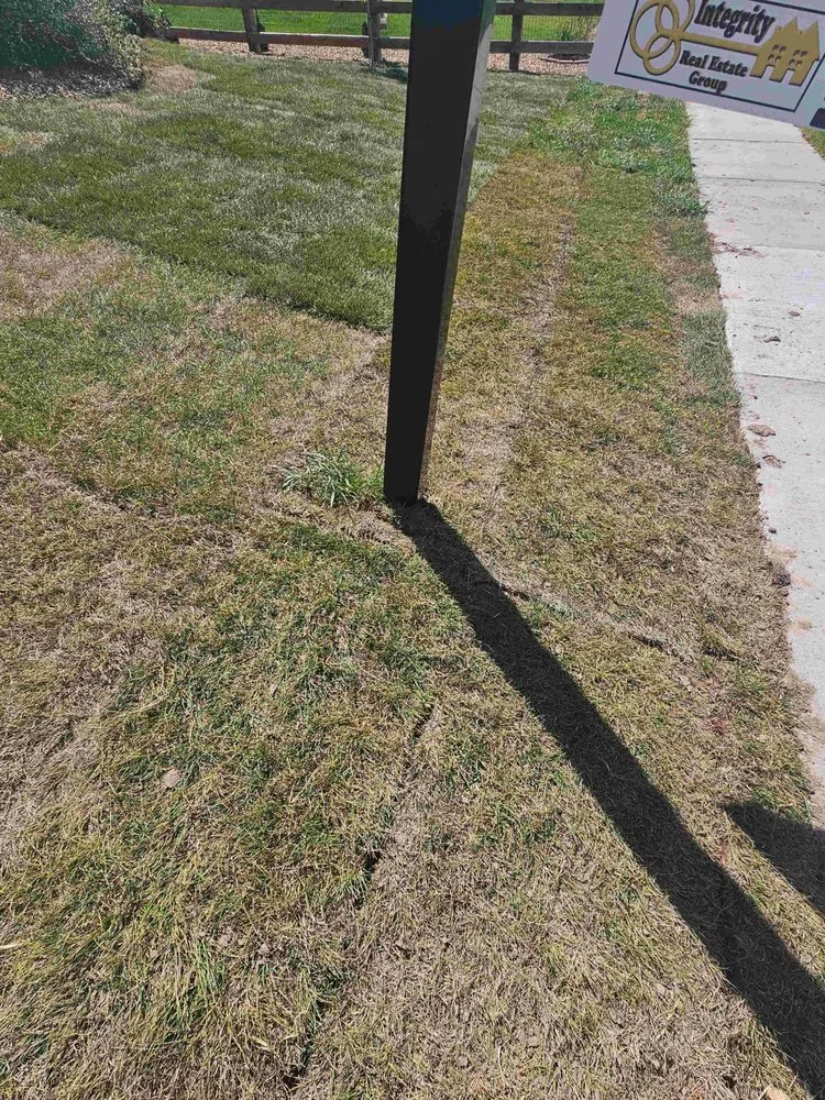 Professional landscape design experts serving Broomfield, CO - Roberto Landscaping