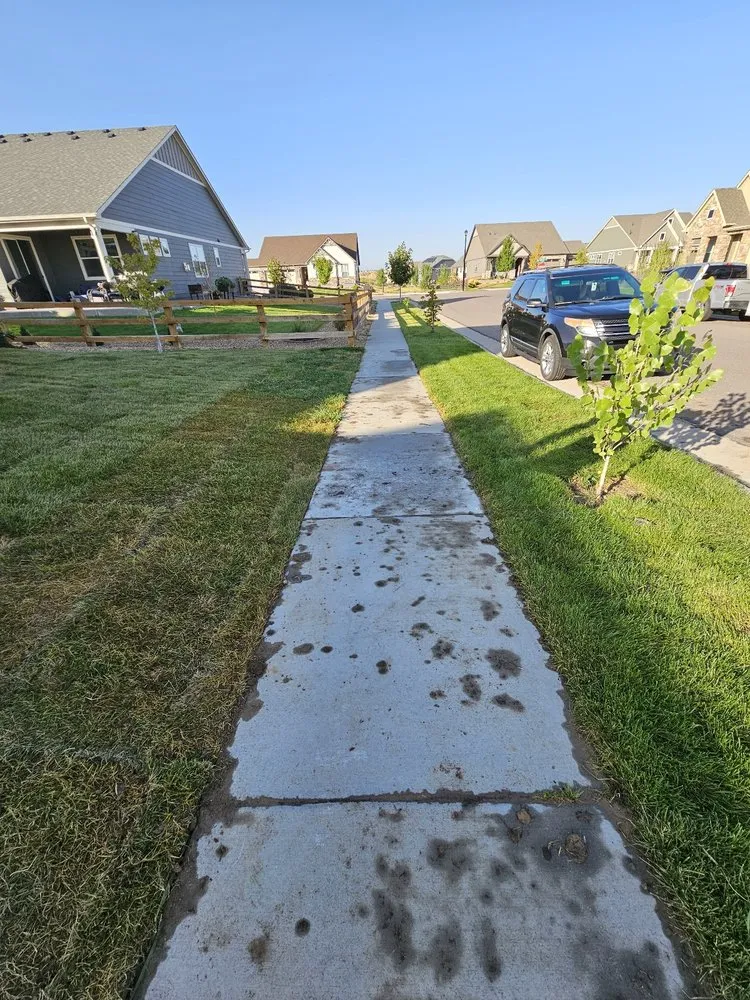 Expert garden landscaping for outdoor upgrades in Broomfield, CO by Roberto Landscaping