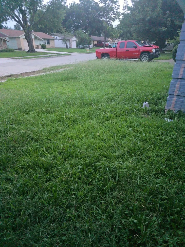 Reliable lawn mowing service experts serving Mesquite, TX - Roberto Landscaping