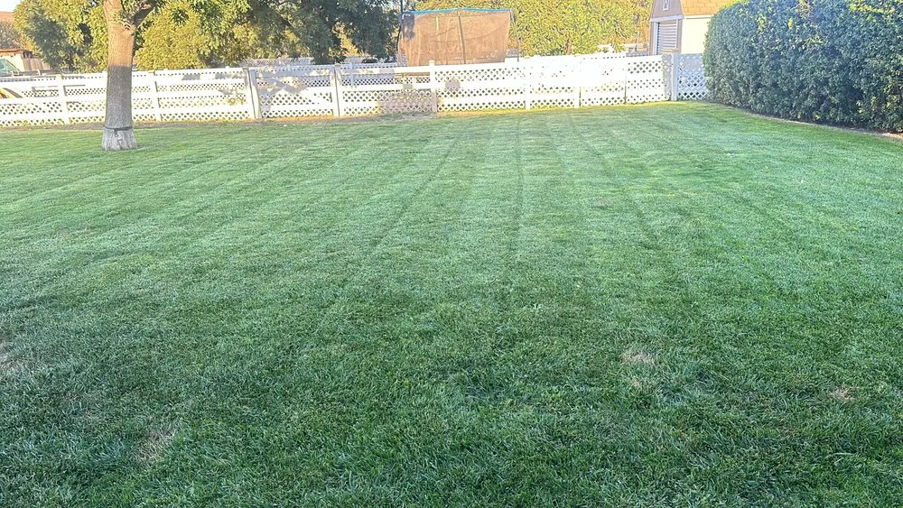 Expert outdoor landscaping experts serving Hollister, CA - Roberto Lawn Care