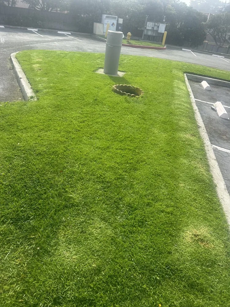 Affordable landscape design for year-round maintenance across Hollister, CA - Roberto Lawn Care