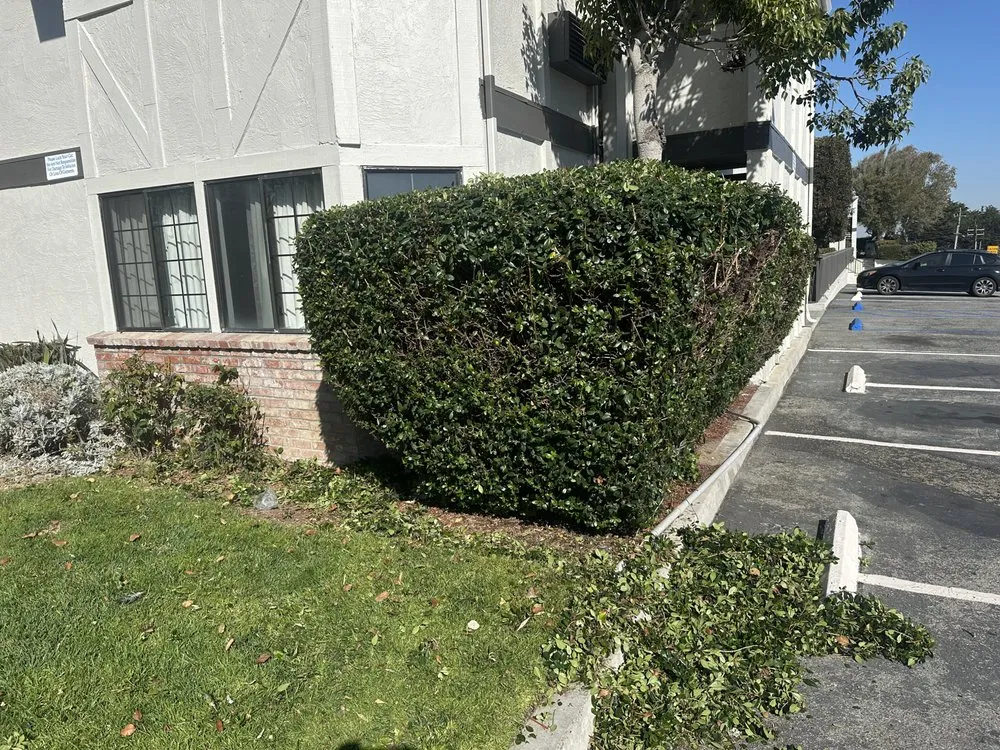 Local residential landscaping in Hollister, CA - Roberto Lawn Care