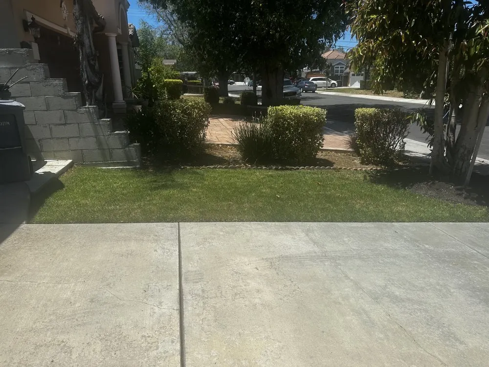 Local yard cleanup service near you across Hollister, CA - Roberto Lawn Care