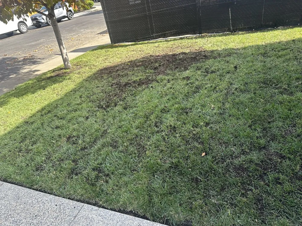 Custom landscape design in Hollister, CA - Roberto Lawn Care