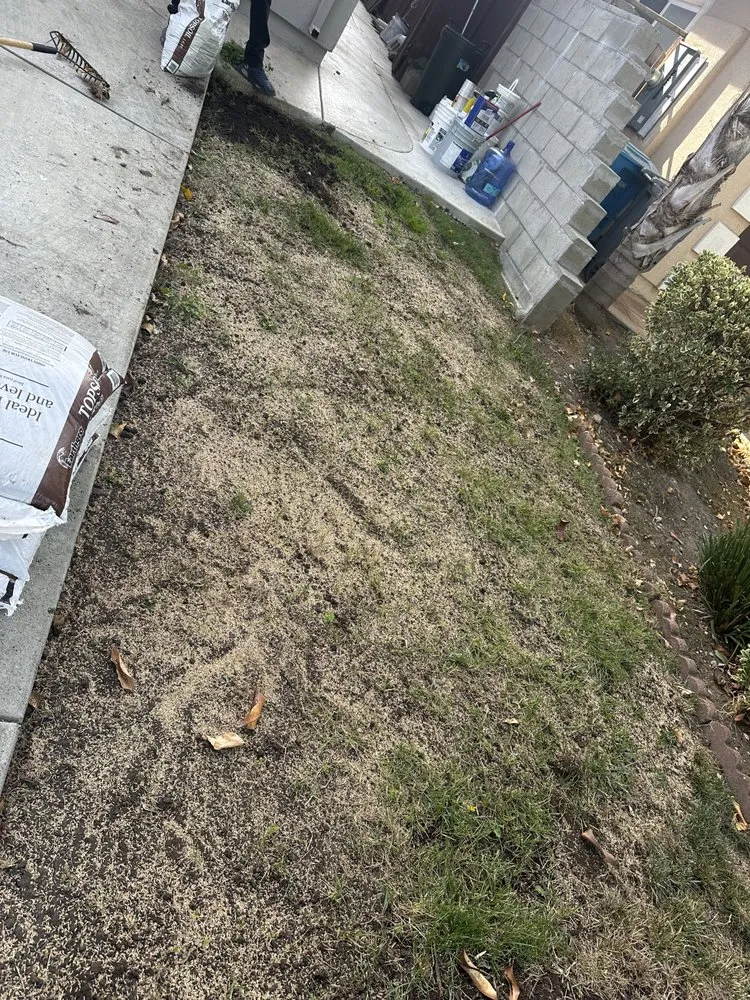 Local landscaping services experts serving Hollister, CA - Roberto Lawn Care