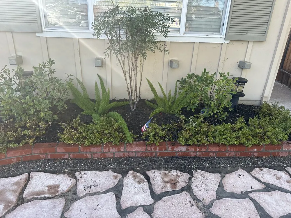 Reliable lawn mowing service with custom design in Hollister, CA by Roberto Lawn Care