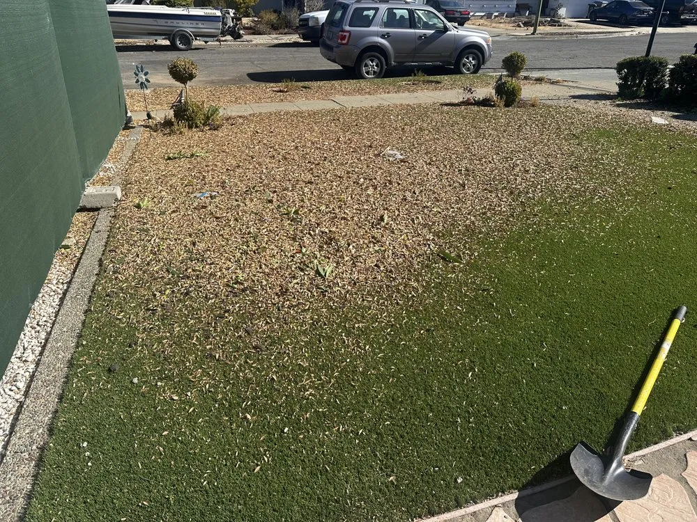 Affordable lawn care service in Hollister, CA by Roberto Lawn Care