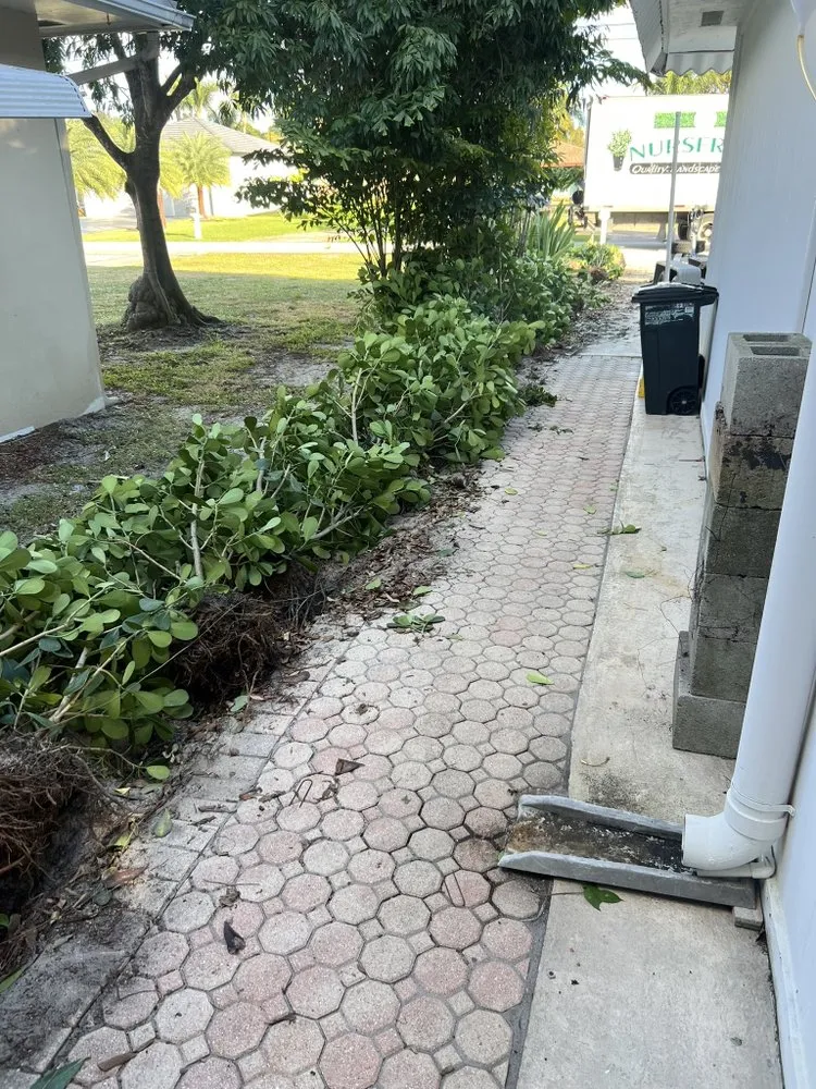 Expert yard maintenance experts serving Richmond West, FL - Roberto's Landscape & Maintenance