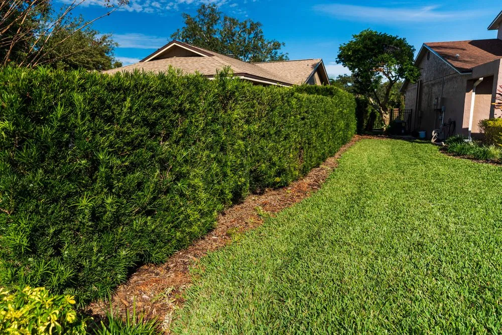 Local lawn mowing service for outdoor upgrades in Richmond West, FL by Roberto's Landscape & Maintenance