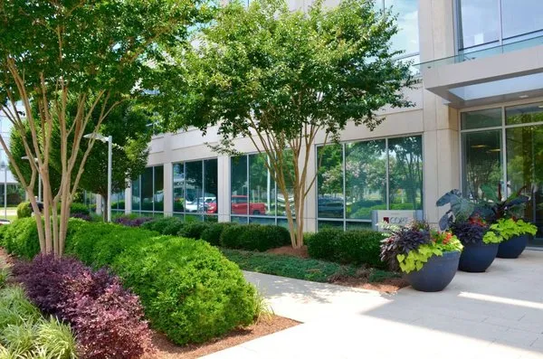 Roberto's Landscape & Maintenance