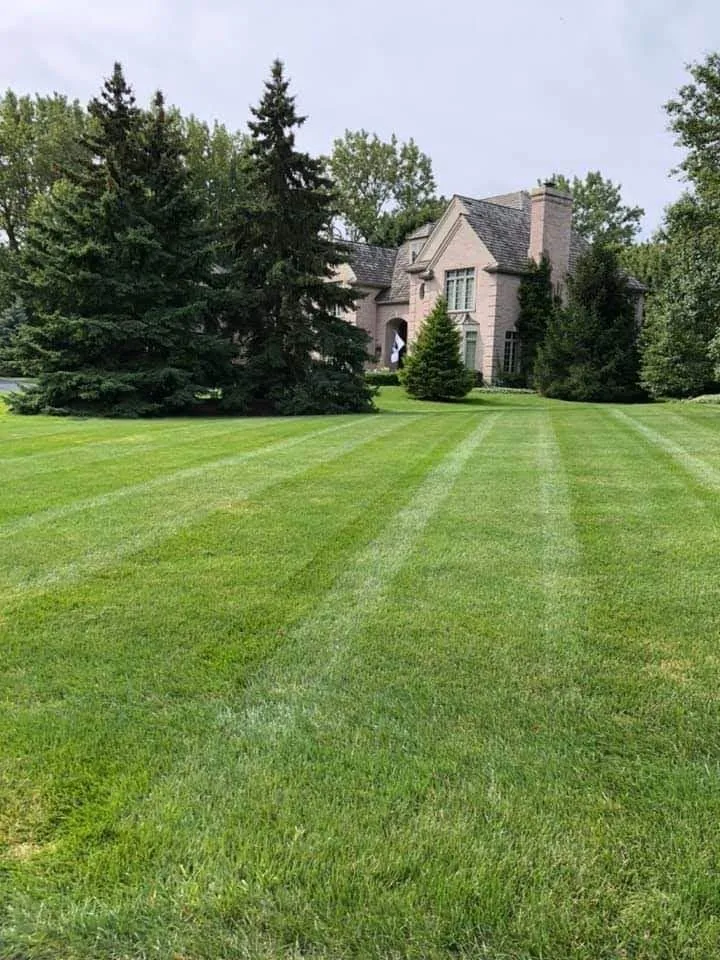 Trusted yard cleanup service in Waukegan, IL - Robertos Landscaping & Snowplowing