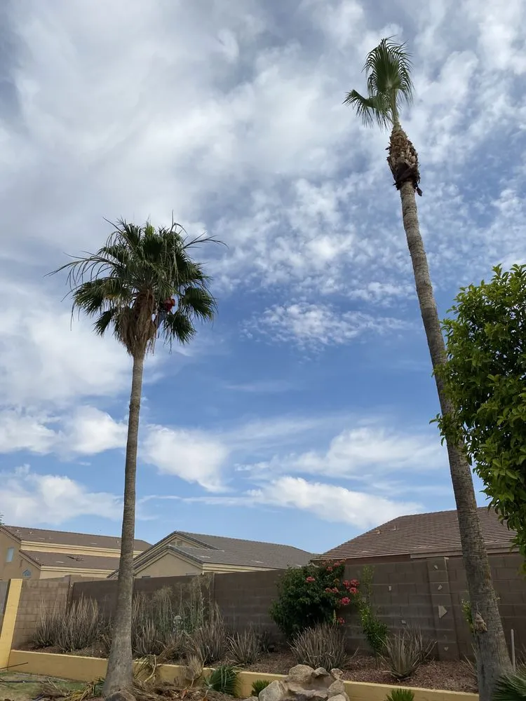 Local landscaping services experts serving Maricopa, AZ - Roberto’s Landscaping